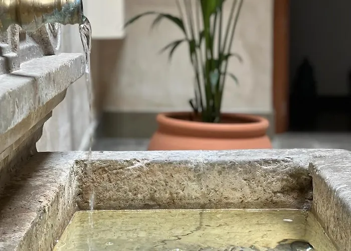 Mercader De Sedas By Maxi Granada